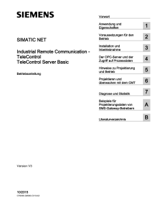 TeleControl Server Basic