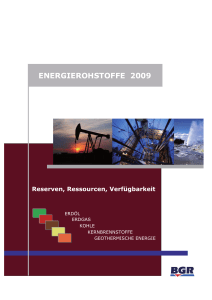 Energierohstoffe 2009 - BGR