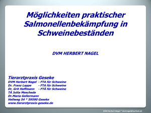 Salmonellenbekämpfung – praktische | Nagel - vivet