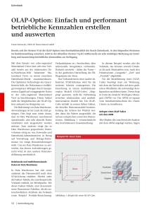 OLAP-Option: Einfach und performant betriebliche