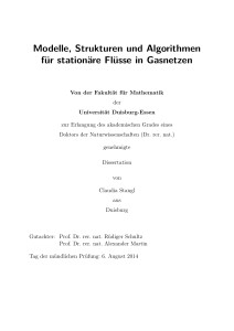 Modelle, Strukturen und Algorithmen für stationäre Flüsse in