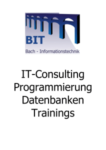 IT-Consulting Programmierung Datenbanken Trainings