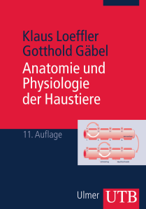 Leseprobe zum Titel: Anatomie und Physiologie der