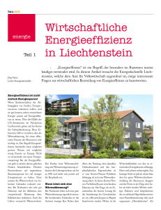 Wirtschaftliche Energieeffizienz in Liechtenstein
