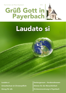 Laudato si Umweltschutz ist Christenpflicht
