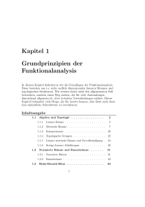 Kapitel 1 Grundprinzipien der Funktionalanalysis