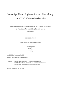 Neuartige Technologieansätze zur Herstellung von C/SiC