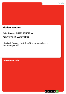 Die Partei DIE LINKE in Nordrhein-Westfalen, Politik