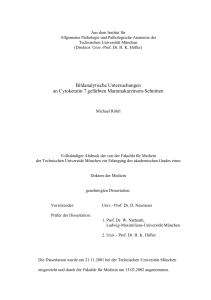 Bildanalytische Untersuchungen an Cytokeratin 7