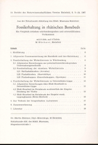 Fossilerhaltung in rhätischen Bonebeds