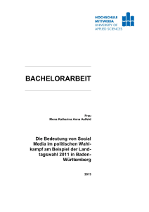 bachelorarbeit - MOnAMi