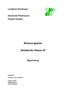 Bebauungsplan „Walddorfer Wasen III“