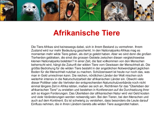 Link Übung Afrikanische Tiere