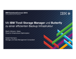 Mit IBM Tivoli Storage Manager und Butterfly zu einer effizienten