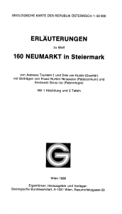 ERLÄUTERUNGEN 160 NEUMARKT in Steiermark