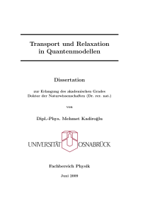 Transport und Relaxation in Quantenmodellen