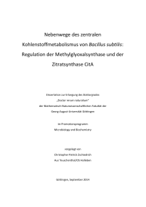 Nebenwege des zentralen Kohlenstoffmetabolismus von Bacillus