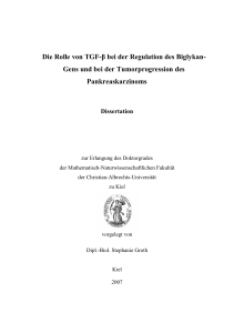 Die Rolle von TGF-β bei der Regulation des Biglykan