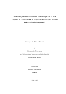 [01] gesamte Arbeit f\374r PDF.doc