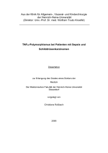 Doktorarbeit christiane pdf-Vorlage-end1 - Heinrich
