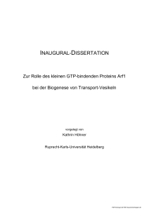 INAUGURAL-DISSERTATION