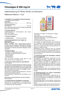 Chosalgan-S 500 mg/ml