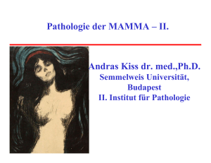 Pathologie der MAMMA – II. Andras Kiss dr. med.,Ph.D.