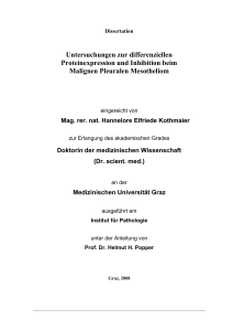 Untersuchungen zur differenziellen Proteinexpression und Inhibition