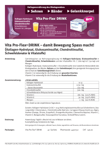 Vita Pro-Flex Drink - Vita Health Care AG
