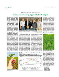 Sichere Eiweißversorgung grundsätzlich möglich