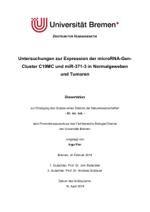 Untersuchungen zur Expression der microRNA-Gen - E