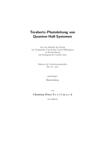 Terahertz-Photoleitung von Quanten-Hall-Systemen