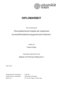 Diplomarbeit Flo Pichler