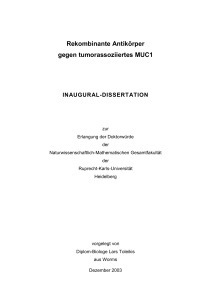 Rekombinante Antikörper gegen tumorassoziiertes MUC1