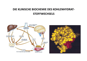 die klinische biochemie des kohlenhydrat