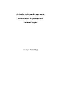 Optische Kohärenztomographie am vorderen Augensegment bei