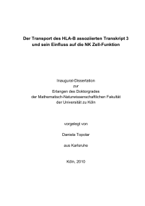 Der Transport des HLA-B assoziierten Transkript 3 und sein Einfluss