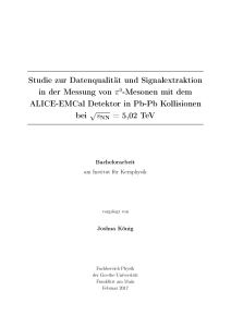 Studie zur Datenqualität und Signalextraktion in der Messung von π