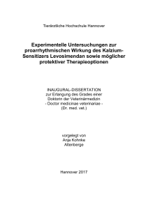 Experimentelle Untersuchungen zur proarrhythmischen Wirkung