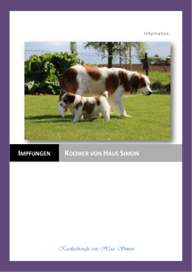 Kooikerhondje von Haus Simon