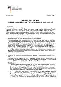 Big BlueTM Mouse Mutagenesis Assay System