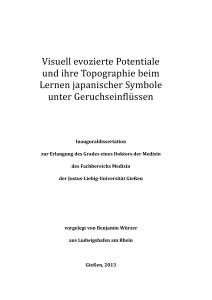 Visuell evozierte Potentiale und ihre Topographie beim Lernen