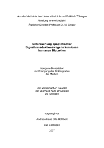 Untersuchung apoptotischer Signaltransduktionswege in kernlosen