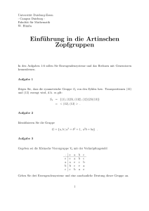 Einführung in die Artinschen Zopfgruppen