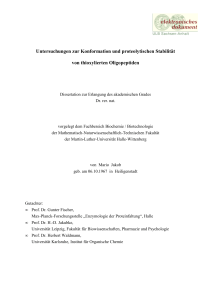 Untersuchungen zur Konformation und proteolytischen Stabilität von