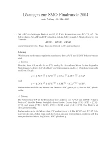 Lösungen zur SMO Finalrunde 2004