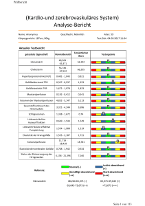 AnalyseBericht