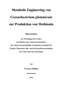 Metabolic Engineering von Corynebacterium glutamicum