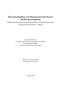 Über den Einfluss von Placenta Growth Factor auf die Arteriogenese