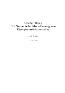 Großer Beleg 3D Numerische Modellierung von